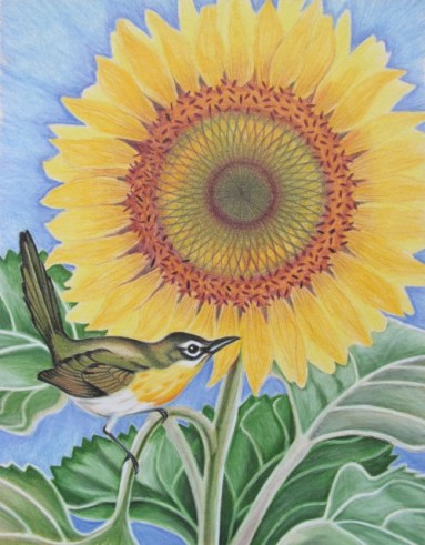 Sunflower with Warbler